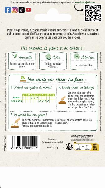 Fleurs - Ipomée Volubilis Variée  - MEDIA_PACKAGING_VERSO